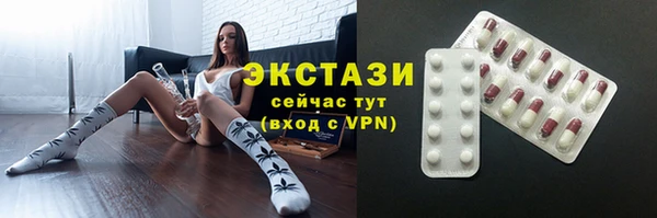 индика Саяногорск